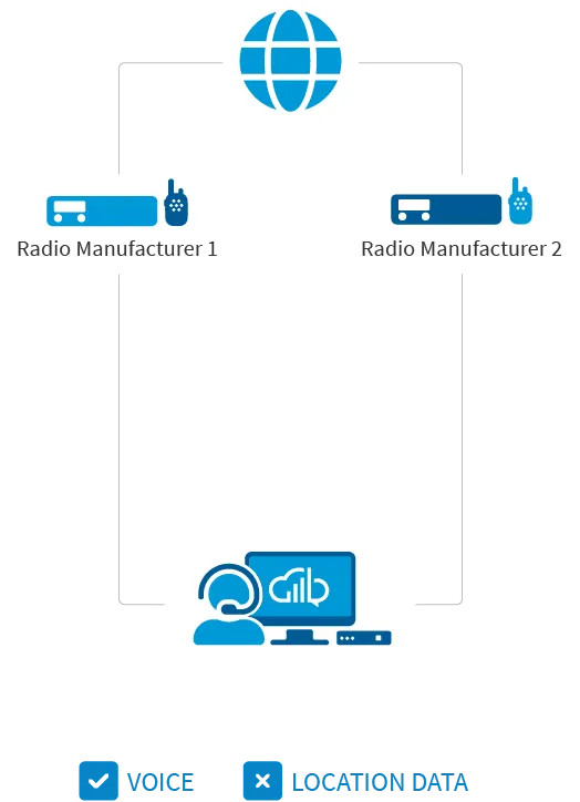 Gateway per diagrammi di rete per radio digitaliNessun gateway